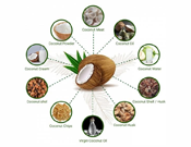 Arul Jothi Exports